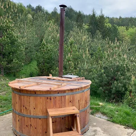 Zaovinska Idila Villa Bjelusa