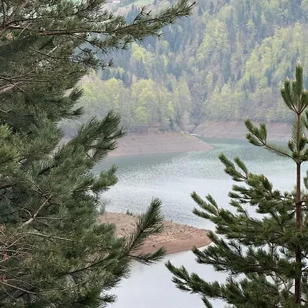 Zaovinska Idila
