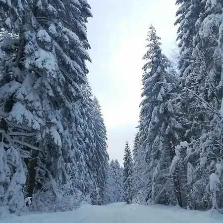 Zaovinska Idila Villa *