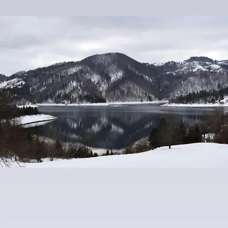 Villa Zaovinska Idila *