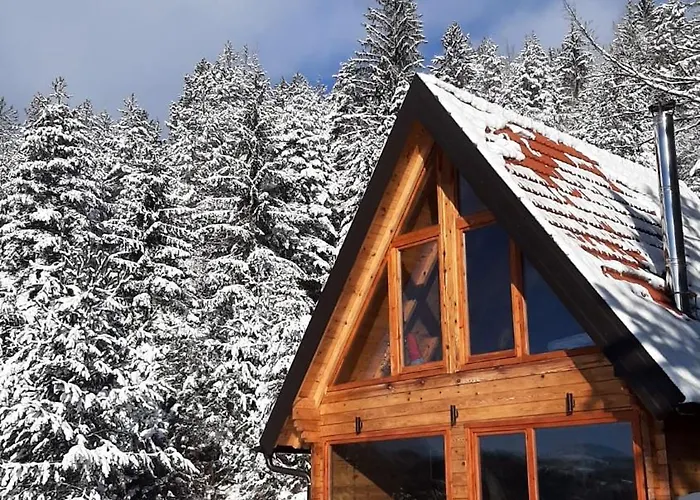 Zaovinska Idila Vilă