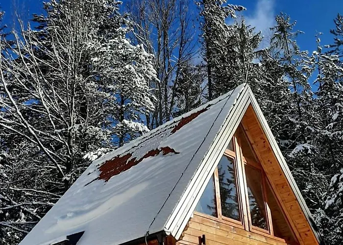 Vilă Zaovinska Idila