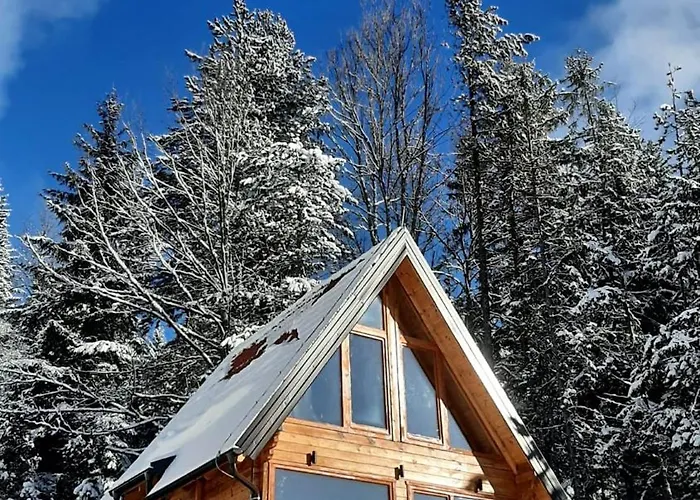 Vilă Zaovinska Idila Bjelusa