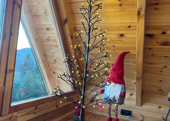 Zaovinska Idila Vilă *