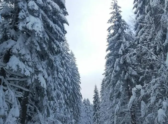 Zaovinska Idila Vilă *