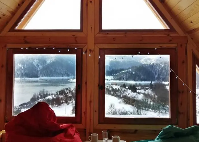 Zaovinska Idila Vilă